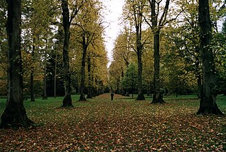 Westonbirt Arboretum, Wiltshire