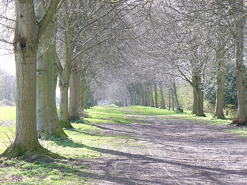 Farnham Park, Surrey