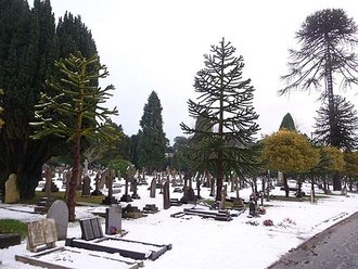 Wimborne Road Cemetery, Dorset