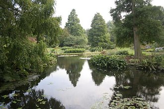 Beth Chatto Gardens, Essex