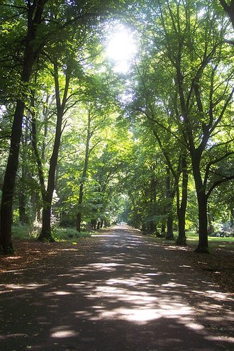 Alexandra Park, Manchester, Greater Manchester