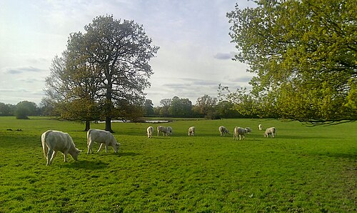 Osterley Park, Greater London