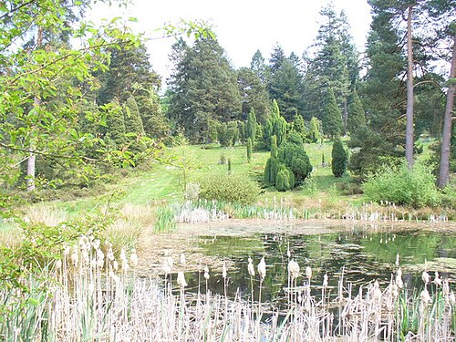 Bedgebury National Pinetum, Kent