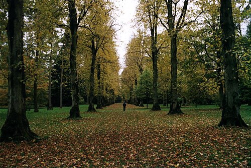 Westonbirt Arboretum, Wiltshire