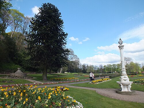 Congleton Park, Cheshire