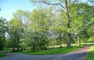 Queen's Park, Harpurhey, Greater Manchester