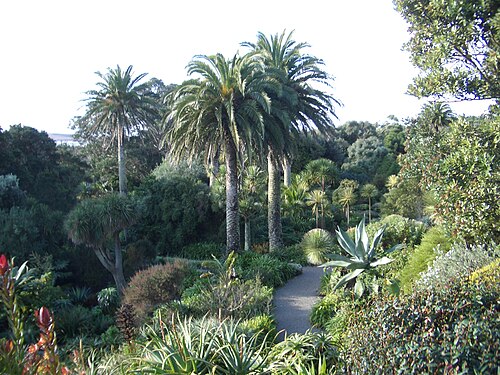 Tresco Abbey Gardens, Cornwall