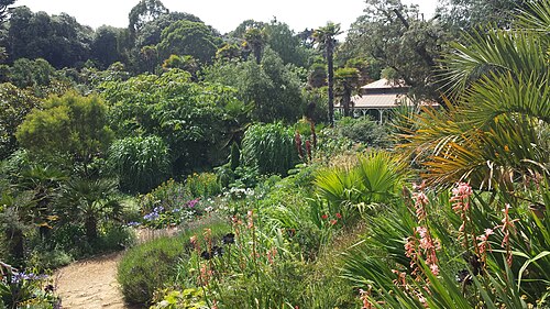 Abbotsbury Subtropical Gardens, Dorset