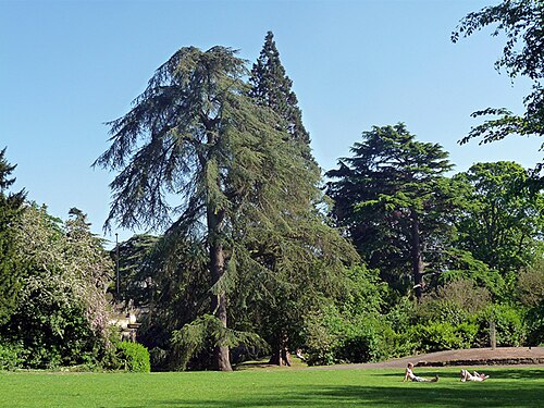 Sydney Gardens, Somerset