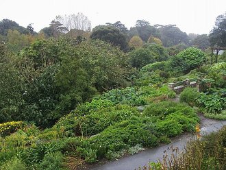 Ventnor Botanic Garden, Isle of Wight