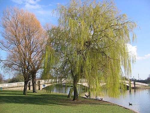 East Park, East Riding of Yorkshire
