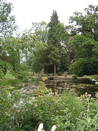 Thorp Perrow Arboretum, North Yorkshire