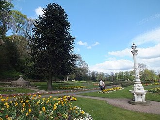 Congleton Park, Cheshire