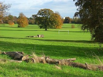 Prospect Park, Berkshire
