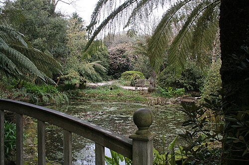 Trengwainton Garden, Cornwall
