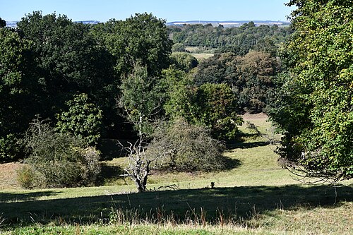 Auckland Castle Park, County Durham