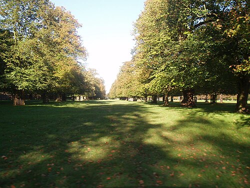 Bushy Park, Greater London
