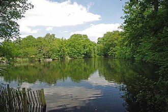 Danbury Country Park, Essex