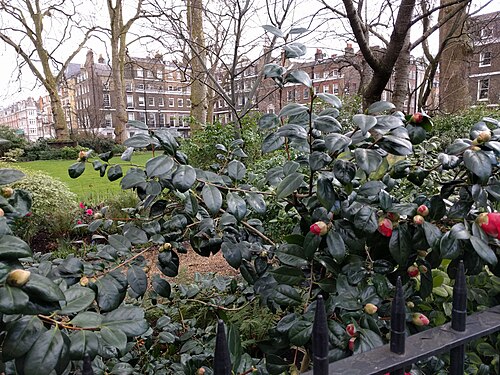 Manchester Square, Greater London