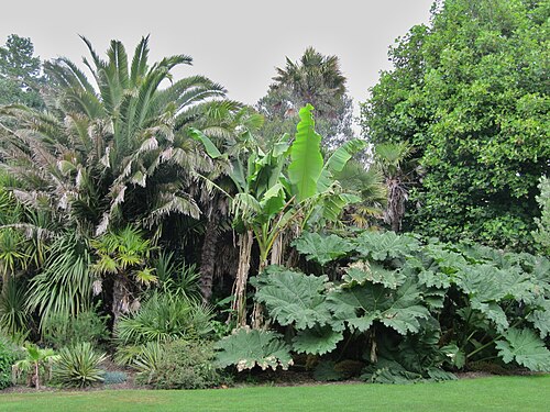 Morrab Gardens, Cornwall
