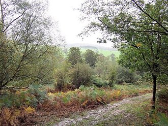 Eridge Park, East Sussex
