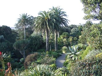 Tresco Abbey Gardens, Cornwall
