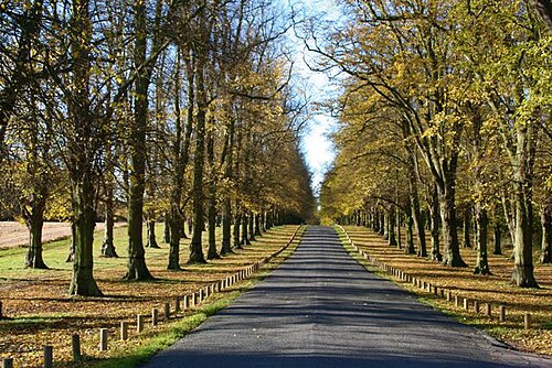 Clumber Park, Nottinghamshire