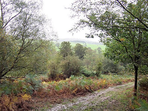Eridge Park, East Sussex