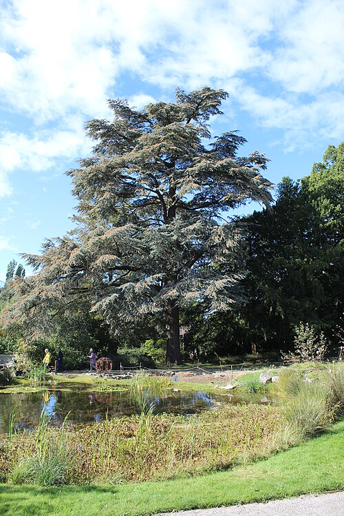 University of Bristol Botanic Garden, Bristol