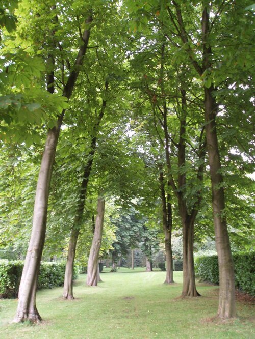Whipsnade Tree Cathedral, Bedfordshire