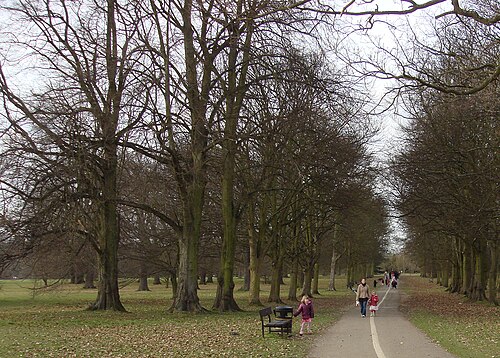 Cassiobury Park, Hertfordshire