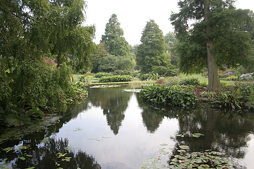 Beth Chatto Gardens, Essex