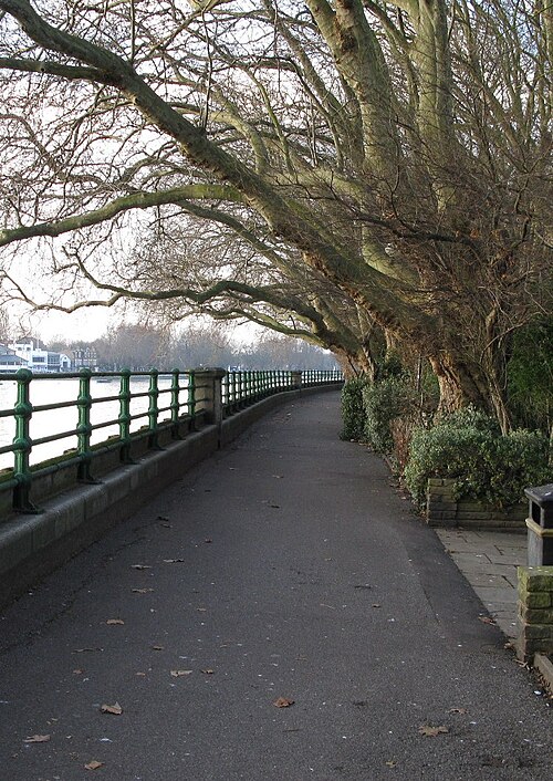 Bishops Park, Greater London