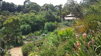 Abbotsbury Subtropical Gardens, Dorset
