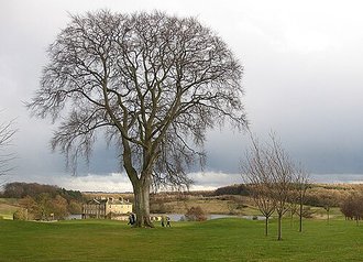 Waterton Park, West Yorkshire