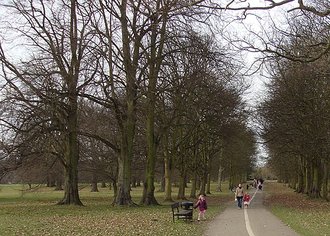 Cassiobury Park, Hertfordshire