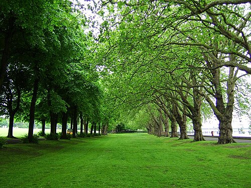 Wandsworth Park, Greater London