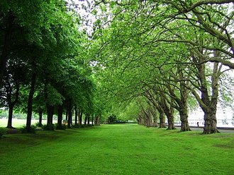Wandsworth Park, Greater London