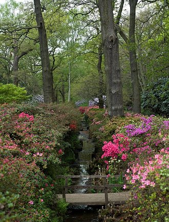 Richmond Park, Greater London