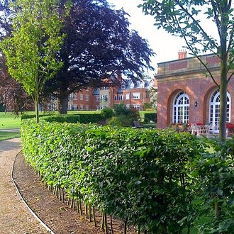 Swaylands, Kent