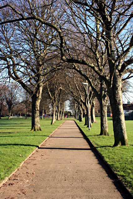 Devonport Park, Devon
