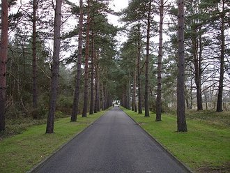 Brookwood Cemetery, Surrey