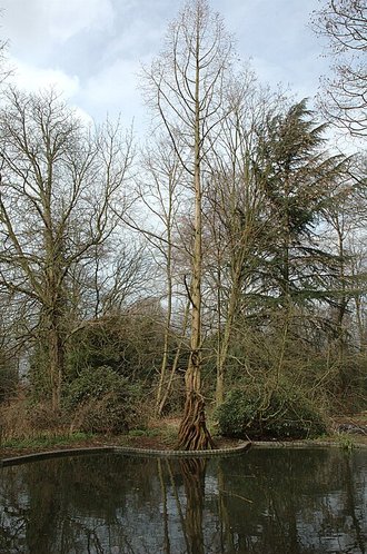 Holland Park, Greater London