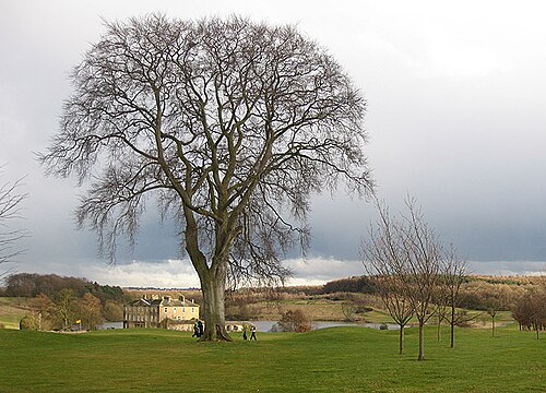 Waterton Park, West Yorkshire
