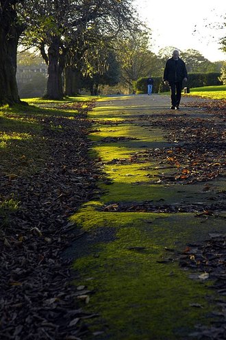 Armley Park, West Yorkshire