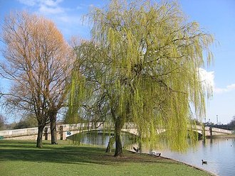 East Park, East Riding of Yorkshire